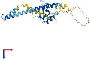 AlphaFold protein structure predicition of Human Recombinant THAP2 Protein, UniprotID Q9H0W7
