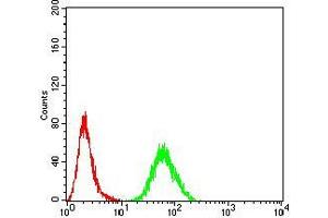 Flow cytometric analysis of MCF-7 cells using RALA mouse mAb (green) and negative control (red).