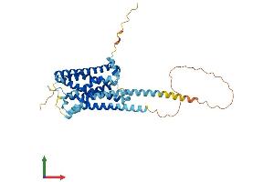 AlphaFold protein structure predicition of Human Recombinant HRH4 Protein, UniprotID Q9H3N8