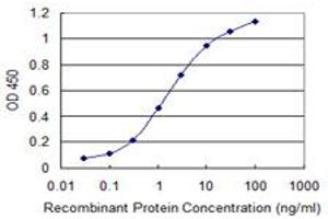 Detection limit for recombinant GST tagged DHX8 is 0.