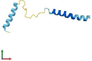 AlphaFold protein structure predicition of Human Recombinant SERP2 Protein, UniprotID Q8N6R1