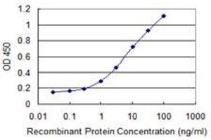 anti-TSC22 Domain Family, Member 1 (TSC22D1) (AA 1-144) antibody