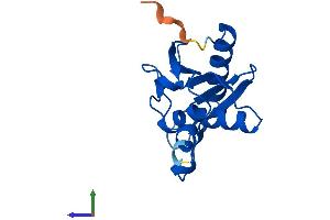 AlphaFold protein structure predicition of Mouse Recombinant Cda Protein, UniprotID P56389