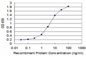 Detection limit for recombinant GST tagged HEY1 is approximately 0. (HEY1 anticorps  (AA 121-220))