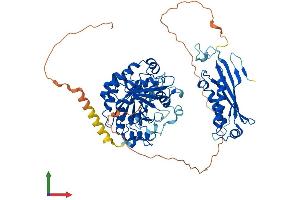 AlphaFold protein structure predicition of Human Recombinant MOCS1 Protein, UniprotID Q9NZB8
