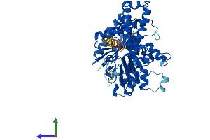 AlphaFold protein structure predicition of Mouse Recombinant Tubb1 Protein, UniprotID A2AQ07