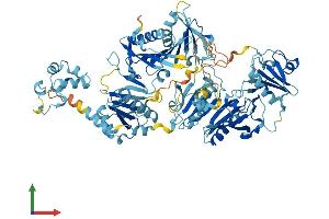 AlphaFold protein structure predicition of Human Recombinant AVIL Protein, UniprotID O75366
