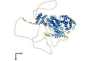 AlphaFold protein structure predicition of Human Recombinant EIF4G2 Protein, UniprotID P78344