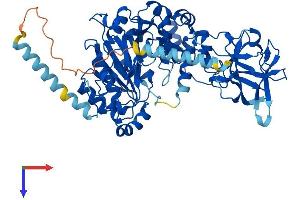 AlphaFold protein structure predicition of Mouse Recombinant Galnt17 Protein, UniprotID Q7TT15