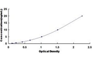 Typical standard curve (Smoothelin Kit ELISA)