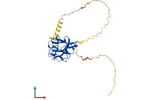 AlphaFold protein structure predicition of Human Recombinant FGF14 Protein, UniprotID Q92915