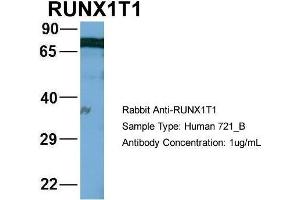 Human 721_B; Host: Rabbit.