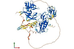 AlphaFold protein structure predicition of Mouse Recombinant Dtx4 Protein, UniprotID Q6PDK8