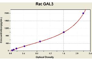Diagramm of the ELISA kit to detect Rat GAL3with the optical density on the x-axis and the concentration on the y-axis. (Galectin 3 Kit ELISA)