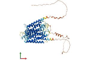 AlphaFold protein structure predicition of Human Recombinant OTOP1 Protein, UniprotID Q7RTM1