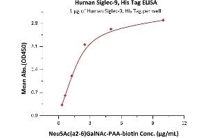 Immobilized Human Siglec-9, His Tag (ABIN6938927,ABIN6951004) at 10 μg/mL (100 μL/well) on Nickel Coated plate, can bind Neu5Ac(a2-6)GalNAc-n with a linear range of 0.