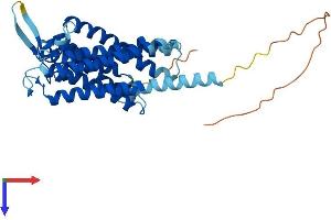 AlphaFold protein structure predicition of Human Recombinant TRAM2 Protein, UniprotID Q15035