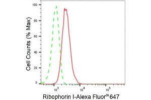 Flow cytometric analysis of Ribophorin I expression in HT- cells using Ribophorin I antibody (ABIN7800214), 1:2,000). (Recombinant RPN1 anticorps)