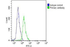 Overlay histogram showing Jurkat cells stained with (ABIN6243627 and ABIN6578589) (green line).