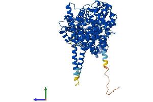 AlphaFold protein structure predicition of Mouse Recombinant Ncbp1 Protein, UniprotID Q3UYV9