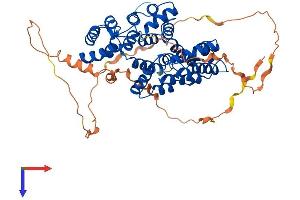 AlphaFold protein structure predicition of Human Recombinant ANXA11 Protein, UniprotID P50995