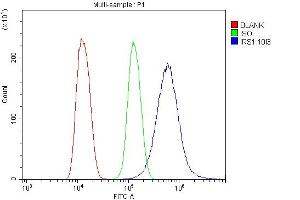 Flow Cytometry analysis of U20S cells using anti-IRS1 antibody (ABIN7599659). (IRS1 anticorps  (AA 1041-1242))