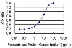 Detection limit for recombinant GST tagged KDM6A is 0. (KDM6A anticorps  (AA 641-740))