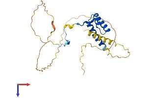 AlphaFold protein structure predicition of Mouse Recombinant Hoxa7 Protein, UniprotID P02830