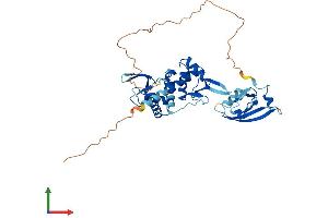 AlphaFold protein structure predicition of Human Recombinant DEPTOR Protein, UniprotID Q8TB45