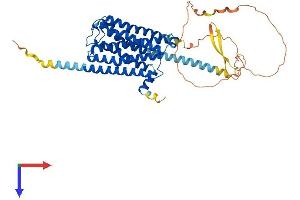 AlphaFold protein structure predicition of Mouse Recombinant Chrm4 Protein, UniprotID P32211