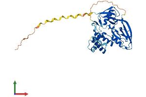 AlphaFold protein structure predicition of Human Recombinant GIPC3 Protein, UniprotID Q8TF64