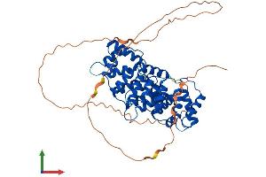 AlphaFold protein structure predicition of Human Recombinant ANXA7 Protein, UniprotID P20073