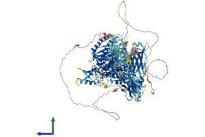AlphaFold protein structure predicition of Mouse Recombinant Pik3c2g Protein, UniprotID O70167