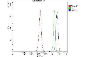 Flow Cytometry analysis of JK cells using anti-TOM1L1 antibody (ABIN7602631). (TOM1L1 anticorps  (AA 9-448))