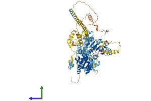 AlphaFold protein structure predicition of Human Recombinant HELLS Protein, UniprotID Q9NRZ9