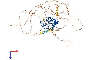 AlphaFold protein structure predicition of Human Recombinant N4BP2L2 Protein, UniprotID Q92802