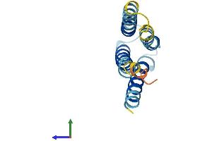AlphaFold protein structure predicition of Mouse Recombinant Leprotl1 Protein, UniprotID Q9CQ74