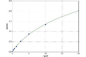 Chromosome 1 Open Reading Frame 106 (C1ORF106) ELISA Kit