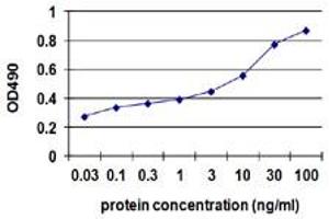 Sandwich ELISA detection sensitivity ranging from 3 ng/ml to 100 ng/ml.
