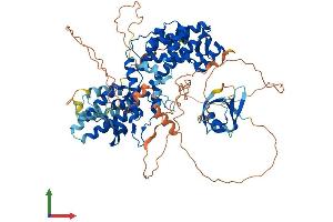 AlphaFold protein structure predicition of Human Recombinant RGL2 Protein, UniprotID O15211