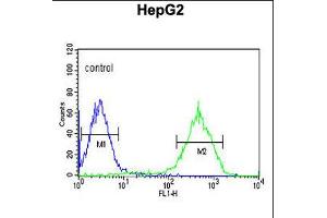 Flow cytometric analysis of HepG2 cells (right histogram) compared to a negative control cell (left histogram). (NDUFA10 anticorps  (AA 252-281))