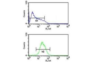 ATF7 antibody flow cytometric analysis of HL-60 cells (bottom histogram) compared to a negative control (top histogram).
