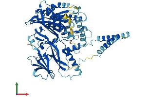 AlphaFold protein structure predicition of Human Recombinant SACM1L Protein, UniprotID Q9NTJ5