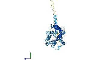AlphaFold protein structure predicition of Mouse Recombinant Gpr31 Protein, UniprotID F8VQN3