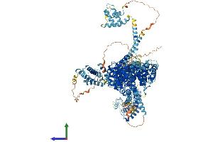 AlphaFold protein structure predicition of Mouse Recombinant Ncapd2 Protein, UniprotID Q8K2Z4