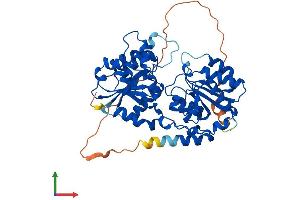AlphaFold protein structure predicition of Mouse Recombinant Gtdc1 Protein, UniprotID Q8BW56