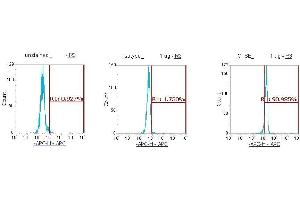 Flow Cytometry (FACS) image for anti-Cathepsin E (CTSE) (AA 57-363) antibody (APC) (ABIN5565230)