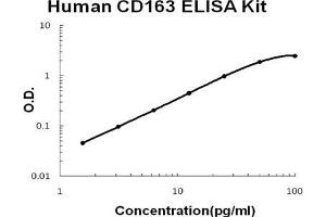Human CD163 PicoKine ELISA Kit standard curve
