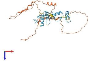 AlphaFold protein structure predicition of Human Recombinant SCRT2 Protein, UniprotID Q9NQ03