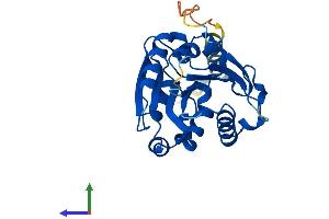 AlphaFold protein structure predicition of Mouse Recombinant Abhd14a Protein, UniprotID Q922Q6